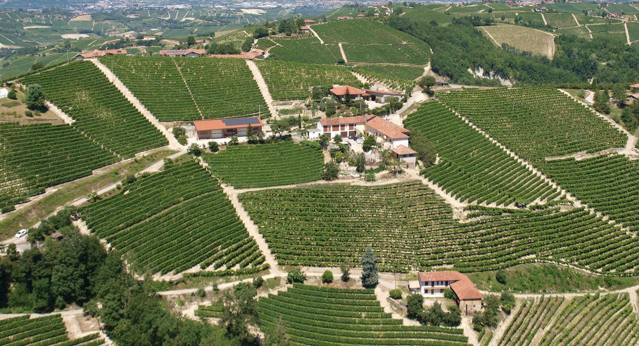 Agriturismo Finestre Di Langa Trezzo Tinella Luaran gambar